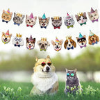 TSJ Cat Face Banner Kitty Cat Theme Birthday Party Bunting Decoration for Adoption Birthday Parties