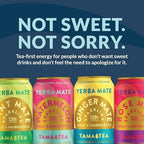 Organic Sparkling Yerba Mate, Unsweetened Yerba Mate Tea Variety Pack by Tama Tea - Sugar Free Energy Drink Alternative, 120mg of Natural Caffeine, 12 oz (12-Pack)