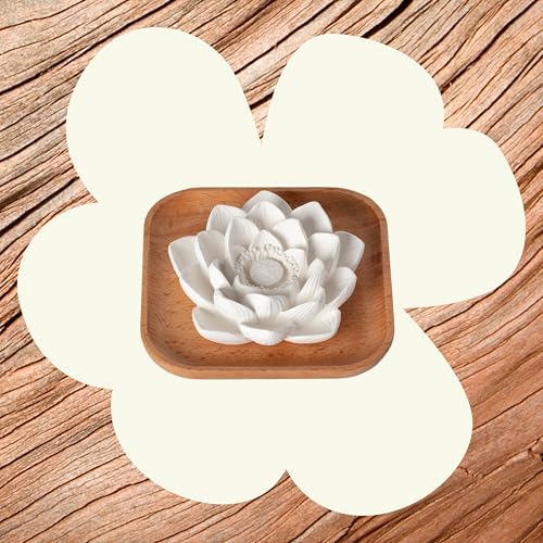 Plant Therapy Passive Lotus Flower Aromatherapy Diffuser - A Chic and Natural Home, Office, and Travel Essential Oil Diffuser
