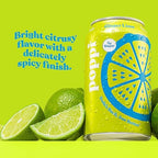 Poppi Sparkling Prebiotic Soda Beverage with Apple Cider Vinegar, Seltzer Water and Fruit Juice, Ginger Lime Flavor, 12 FL Oz, Pack of 12, Packaging May Vary