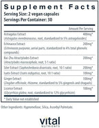 Vital Nutrients Immune Support - Herbal Immune System Support Supplement - Vegan Antioxidant and Immunity Supplement - Gluten, Dairy, Soy Free - Non-GMO - 60 Capsules
