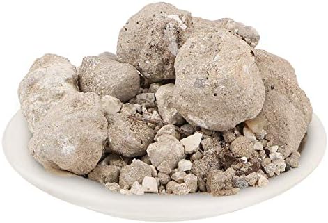 Vanshlochan Asli - 50Grm - Bambusa Arundinacea Gum - Banslochan Asli - Bambusa Vulgaris