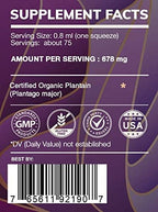HerbEra Earth's Love - Plantain Alcohol-Free Herbal Extract Tincture, Super-Concentrated Plantain (Plantago Major) Dried Leaf (2 Fl Oz)
