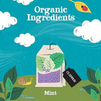 Clipper Tea Mint Herbal Teabags – Caffeine Free, USDA Organic, Great Hot or Iced – Refreshing, Natural, Fair & Delicious – 50 Tea Bags