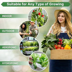 Organo Republic Anise Seeds Pack 5G - Over 1800 Non-GMO Heirloom Anise Seeds for Planting Herbs in Individual Seed Packet, Herbs Seeds for Planting Home Garden Indoor & Outdoor Gardening