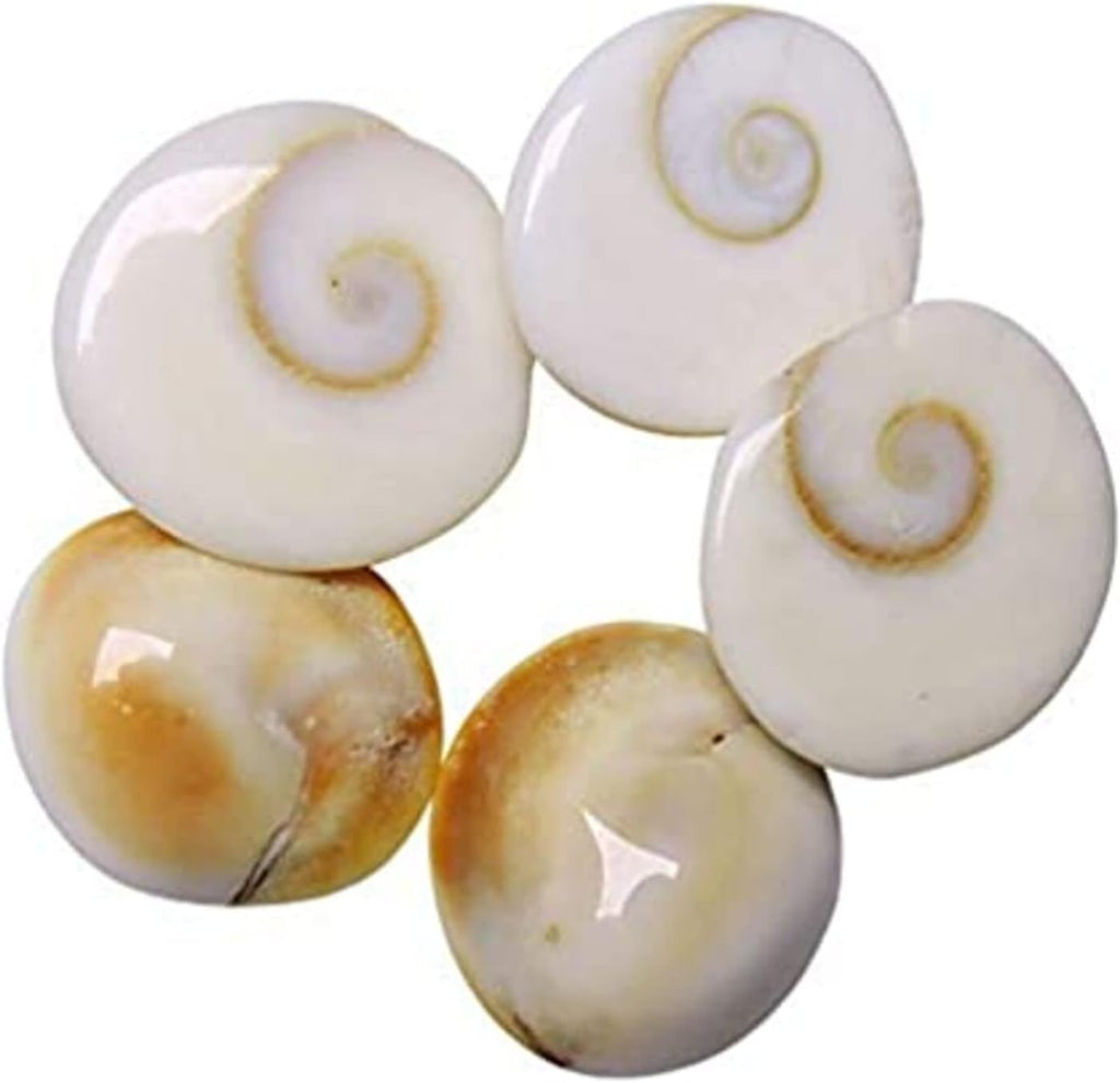 Aashita Creations Natural Rare Gomti Chakra Set of 5 Pieces