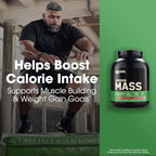Optimum Nutrition Serious Mass, Weight Gainer Protein Powder, Mass Gainer, Vitamin C and Zinc for Immune Support, Creatine, Strawberry, 6 Pound (Packaging May Vary)