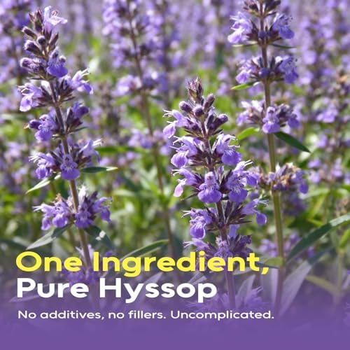 FullChea - Hyssop Tea Bags, 50 Count Caffeine-Free Herbal Tea Bags, Premium Hyssop, Support Digestion & Promote Relaxation