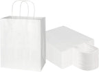 Toovip 50 Pack 8x4.75x10 Inch Medium White Kraft Paper Bags with Handles Bulk, Gift Wrap Bags for Favors Grocery Retail Party Birthday Shopping Business Goody Craft Merchandise Take Out Sacks