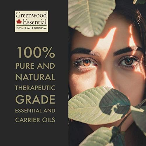 Greenwood Essential Pure Holy Basil Essential Oil (Ocimum Sanctum) with Glass Dropper Steam Distilled (Pack of Three) 100ml X 3 (10.1oz)
