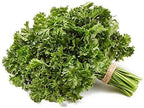 Herb Parsley Curly Bunch Organic, 1 Each