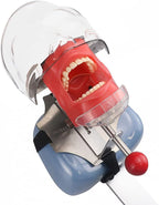 Dental Simulator Manikin Phantom Teeth Model with Bench Mount on Dental Chair for Education