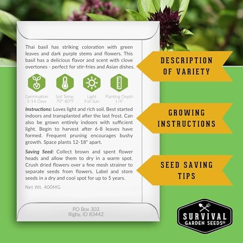 Thai Basil Seeds for Planting – Sweet Thai Basil with Anise Flavor for Asian Cooking – Heirloom Non-GMO Herb Seed for Indoor or Outdoor Gardens – Survival Garden Seeds (1 Pack)