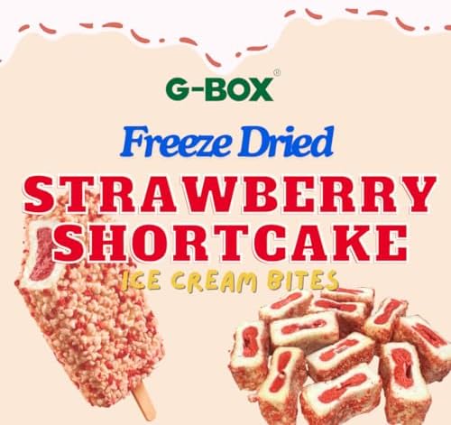 G-BOX Freeze Dried Ice Cream| Crunch Strawberry Shortcake Ice Cream Bites - Perfect for Camping, Outdoor, and Party - Air-tight Sealed in a Deli Container (3.5 OZ Strawberry Shortcake)
