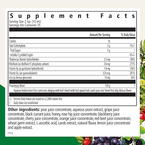 Floradix Iron & Herbs - Liquid Herbal Supplement for Energy Support - Iron Supplement with Vitamin C & Vitamin B Complex - for Men & Women - 8.5 fl oz