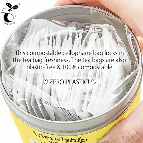 Friendship Organics Ginger Cinnamon Tea Bags, Organic Herbal and Fair Trade 22 Count