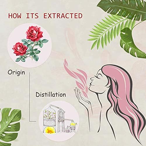 Rose Essential Oil - 100% Pure Organic Natural Plant (Rosa damascena) Rose Oil for Diffuser, Aroma, Spa, Massage, Yoga, Perfume, 0.33oz