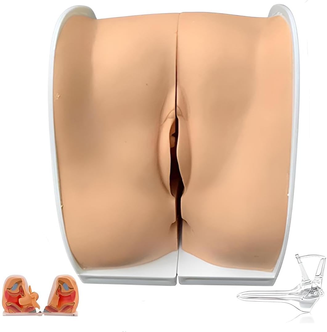 Female Gynecological Model, Anatomical Genital Manikin with IUD Training for Gynecological Exam & Teaching. Accurate Reproductive Anatomy Model for Nursing, Medical Education & Hands-On Practice