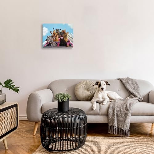 Stupell Industries Dogs Riding Roller Coaster Funny Amusement Park 16x20, Gallery Wrapped Canvas