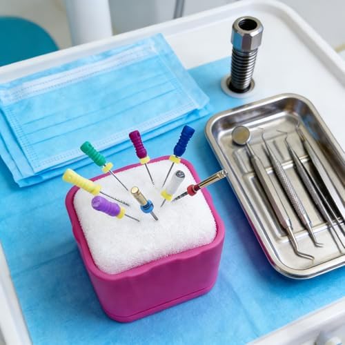 Endo File Clean Stand, YOUYA DENTAL Instant Detailing File Cleaning Sponge Dental Endodontics Cleaning Holder High Temperature Resistance Professional Sponge Box Ring Organizer Rack