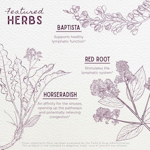 WishGardenHerbs Kick-Ass Sinus Move & Soothe Herbal Supplement, 4 fl oz, Natural Sinus Support with Baptisia, Red Root, Horseradish