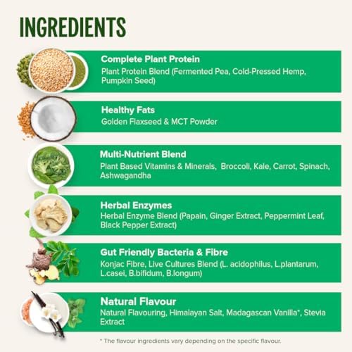 Vivo Life - Whole, Vegan Meal Replacement Shake with Proteins, Vitamins & Minerals, Gut Friendly Bacteria & Electrolytes - 35.2 oz, 25 Servings (35.2 Ounce (Pack of 1), Vanilla)