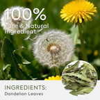 Dandelion Leaf Tea, Dandelion Tea - Natural Liver & Kidney Detox Herbal Tea - Pure Herbal Tea to Support Digestion & Immune System, 50 Tea Bags