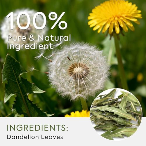 Dandelion Leaf Tea, Dandelion Tea - Natural Liver & Kidney Detox Herbal Tea - Pure Herbal Tea to Support Digestion & Immune System, 50 Tea Bags