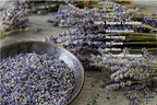 OneDove 2 Pounds Lavender Buds Dried Flowers,100% Natural Dried Lavender Buds, Ultra Blue Grade (2 Pounds)