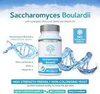 Swiss BioEnergetics Saccharomyces Boulardii 5 Billion CFU 90 Capsules - No Refrigeration Required - High Strength Non-Colonising Yeast with synergistic Olive Leaf, Biotin and Vitamin D3