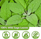Premium 50 Sage Tea Bags, Made with 100% Natural Sage Leaves, No Additives & Caffeine Free.