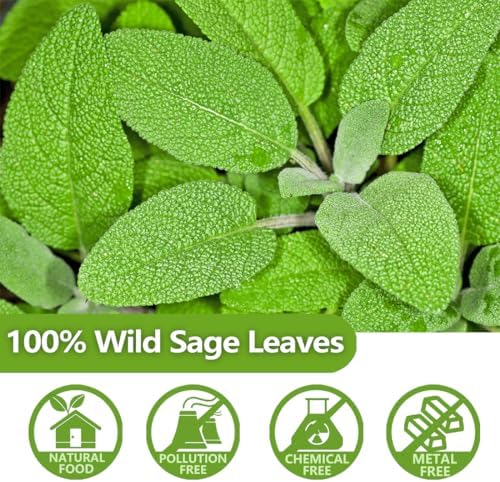Premium 50 Sage Tea Bags, Made with 100% Natural Sage Leaves, No Additives & Caffeine Free.