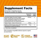 Turmeric Curcumin with BioPerine Black Pepper and Ginger - Made in USA - 120 Vegetarian Capsules for Advanced Absorption, Joints Support