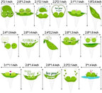 Two Peas in a Pod Twins Cupcake Toppers Twins Baby Shower Decorations 48Pcs Pea Party Cake Topper Decorations Sweet Pea Cupcake Picks for Two Peas in a Pod Twins Gender Reveal Birthday Party Supplies