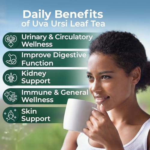 4 oz. Uva Ursi Leaf Uva Ursi Tea Herbal (Arctostaphylos Uva-Ursi) - 113g Uva-Ursi Herb Tea Arctostaphylos Uva-Ursi
