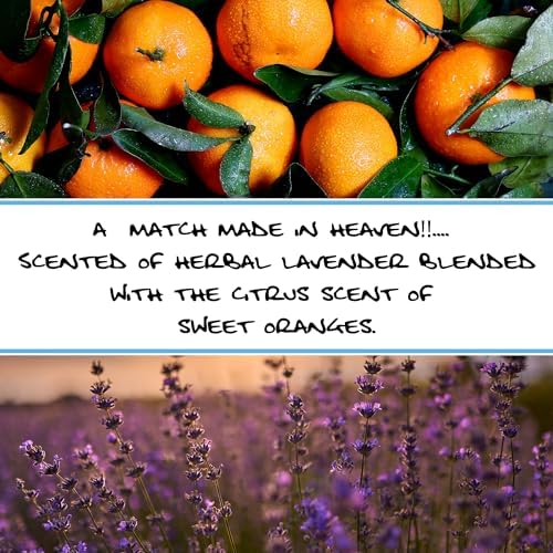 Bluebyrd Soap Co. Lavender Orange Bar Soap | Organic Shea Butter All Natural Scented Essential Oil Nourishing Soap Bar | Vegan, Cold Process, Handmade, Non-GMO (Lav. Orange)