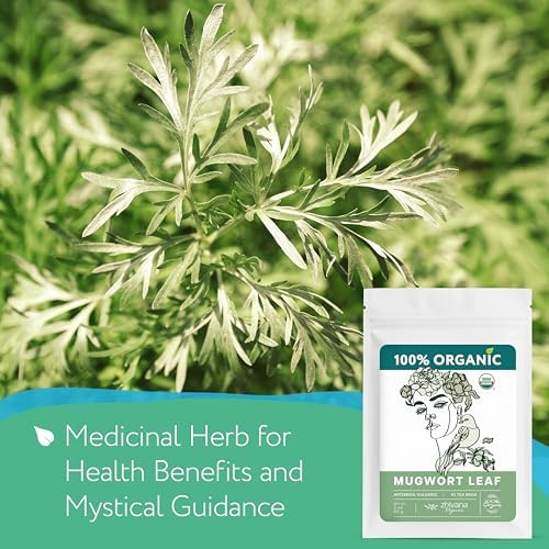 Organic Mugwort Tea Bags (40 TeaBags) – Te de Artemisa - Mugwart Tea for Digestive Health, Liver, Women Cycle, Relaxation (Artemisia Vulgaris)