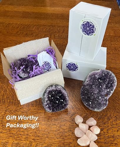 Extreme Rocks & Fossils Natural Amethyst Cluster with Polished Edges [1 to 1.5 lb.] Real Raw Geode Healing Crystal Rock from Uruguay, Deep Purple Decor and a Free Velvet Pouch of Rose Quartz