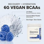 Type Zero Ultra Clean Vegan BCAA Powder + Electrolytes (Blue Raspberry | 6G) 2:1:1 Sugar-Free/No Sucralose BCAAs Amino Acids Supplement - BCAA Vegan Amino Acids After Workout Drink, 30 Servings