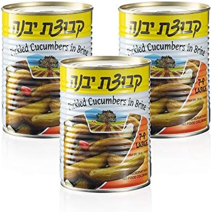 Pickled Cucumbers in Brine | Crispy Cucumber Pickles, All Natural, No Preservatives | Pack of 3, Total of 57 Oz (Large Pickles)