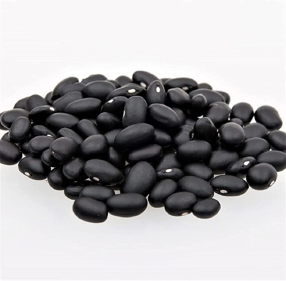 Bean Seed, Black Turtle Bush Bean, Heirloom, Non Gmo, 50 Seeds, Terrific Black Beans
