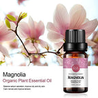 2-Pack Magnolia Essential Oil 100% Pure Oganic Plant Natrual Flower Essential Oil for Diffuser Massage Skin Care - 10ML