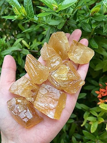 GAF TREASURES 1 Pound Honey Calcite Rough, Natural Honey Calcite Stones - Raw Calcite Honey Rock for Decor, Tumbling, Cabbing, Polishing, Fountain Rocks, Wicca, and Reiki (Honey Calcite)
