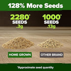 HOME GROWN German Chamomile Seed Pack 2,280 Non GMO Heirloom Seeds for Planting for Sustainable Gardens and Soothing Medicinal Herbal Teas (Matricaria chamomilla)