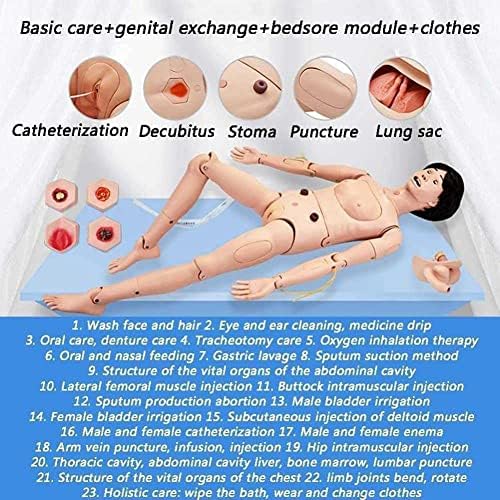 Nursing Training Manikin, Professional Care Manikin, Patient Care Simulator, Full Body CPR First Aid Training Dummy, Geriatric Human Mannequin for Educational Teaching Research 165cm