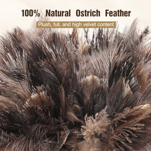 2pcs Ostrich Feather Dusters，Reusable Feather Duster with Wood Handle, Ostrich Feather Dusters for Cleaning, Office, Home, Car(Length13”