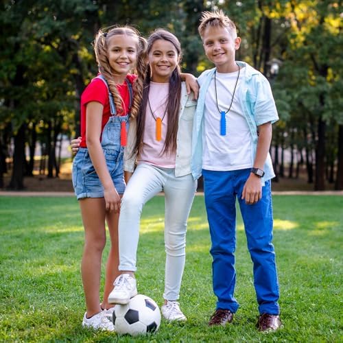 Sensory Chew Necklaces for Autistic Chewers, 6 Packs Food Grade Silicone Oral Motor Chew Toys & Hand Fidgets for Autism, ADHD, SPD, Anxiety or Special Needs