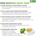 Premium 75 Parsley Leaf Tea Bags, 100% Natural & Pure from Parsley Leaves. Loose Leaf Parsley Herbal Tea. Parsley Leaf Tea. Made with Natural Material Tea Bags. No Sugar, No Caffeine, No Gluten, Vegan.