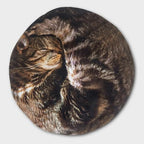 Suck UK | Cat Hot Water Bottle | Hot Water Bottles for Period Pain Relief & Neck Waterbottle | Fluffy Bottle Animal | Cat Gifts for Women & Cats Lover Gifts | Animal Bottles