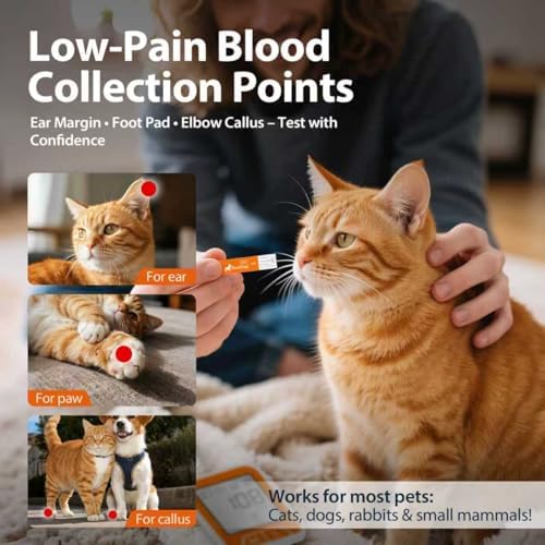 Pet Blood Glucose Monitor Kit for Dogs & Cats, 100 Test Strips & Lancets (Double Supply) – Vet-Grade Painless Diabetes Testing Meter, Home Glucometer System with Case